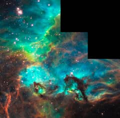 Preview of The Seahorse of the Large Magellanic Cloud