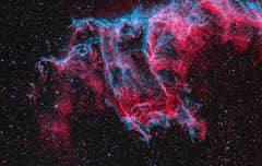 Preview of A Spectre in the Eastern Veil