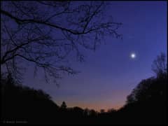 Preview of Venus in the West