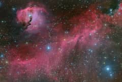 Preview of The Seagull Nebula