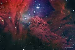 Preview of The Fox Fur Nebula