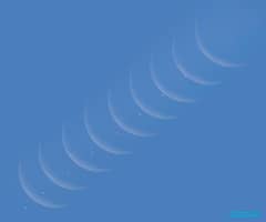 Preview of Daytime Moon Meets Morning Star