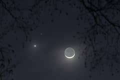 Preview of Love and War by Moonlight