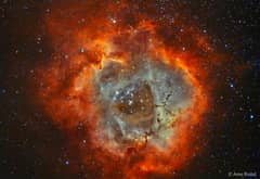 Preview of The Rosette Nebula in Hydrogen and Oxygen