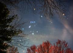 Preview of Orion Spring