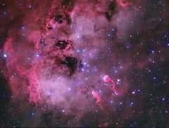 Preview of The Tadpoles of IC 410