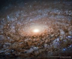 Preview of In the Center of Spiral Galaxy NGC 3521