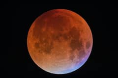 Preview of A Blue Blood Moon