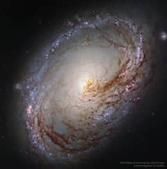 Preview of Spiral Galaxy M96 from Hubble