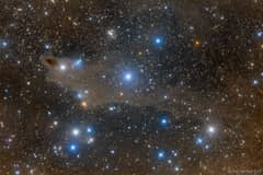 Preview of The Shark Nebula