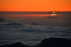 Preview of A Green Flash of Spring