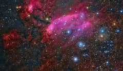 Preview of IC 4628: The Prawn Nebula