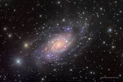 Preview of NGC 2403 in Camelopardalis