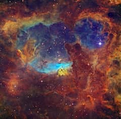 Preview of Massive Stars in NGC 6357