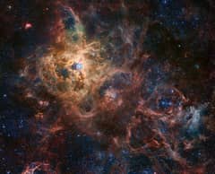 Preview of The Tarantula Nebula