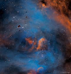 Preview of Stars and Globules in the Running Chicken Nebula