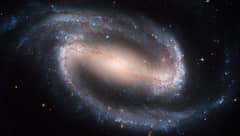 Preview of Barred Spiral Galaxy NGC 1300