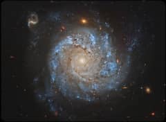 Preview of NGC 1309: Spiral Galaxy and Friends