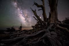 Preview of Galaxy and Planets Beyond Bristlecone Pines
