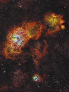 Preview of Sagittarius Sunflowers