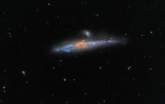 Preview of NGC 4631: The Whale Galaxy