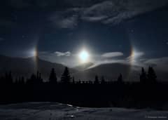 Preview of Alaskan Moondogs