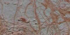 Preview of The Surface of Europa