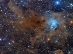 Preview of NGC 7023: The Iris Nebula