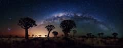 Preview of Milky Way Over Quiver Tree Forest