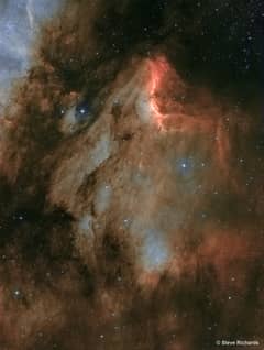 Preview of IC 5070: A Dusty Pelican in the Swan