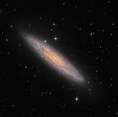 Preview of NGC 253: Dusty Island Universe