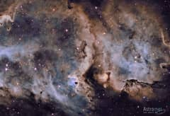 Preview of W5: The Soul of Star Formation