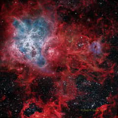 Preview of The Cosmic Web of the Tarantula Nebula