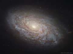 Preview of NGC 4414: A Flocculent Spiral Galaxy