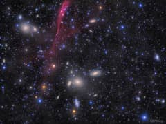 Preview of The Antlia Cluster of Galaxies