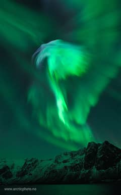 Preview of Eagle Aurora over Norway