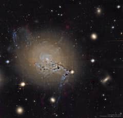 Preview of Filaments of Active Galaxy NGC 1275