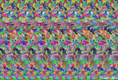 Preview of The Holographic Principle
