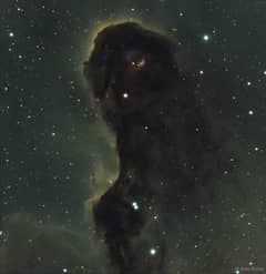Preview of The Dust Monster in IC 1396