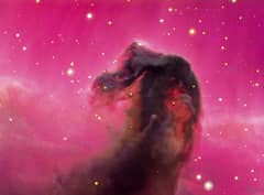 Preview of The Horsehead Nebula