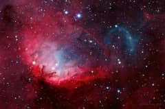 Preview of The Tulip and Cygnus X-1
