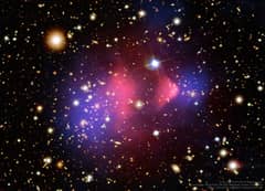 Preview of The Matter of the Bullet Cluster