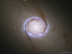Preview of Spiral Galaxy NGC 1512: The Nuclear Ring