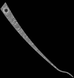 Preview of Noodle Mosaic of Saturn