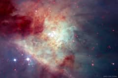 Preview of Fast Stars and Rogue Planets in the Orion Nebula