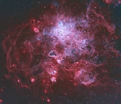 Preview of The Tarantula Nebula