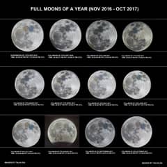 Preview of A Year of Full Moons
