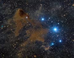 Preview of Lynds Dark Nebula 183
