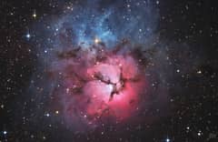 Preview of A Beautiful Trifid