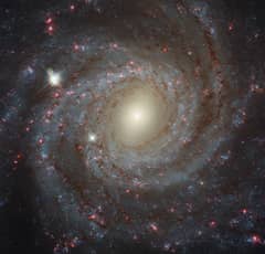Preview of Facing NGC 3344